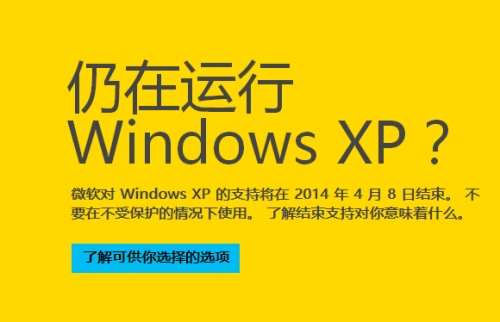 XP（xp探测器）