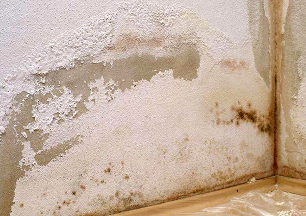 墙面潮湿的原因有哪些  墙面潮湿掉皮什么原因