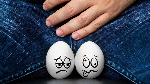 性生活中睾丸有什么用？科学解析 男人蛋蛋的真正功能