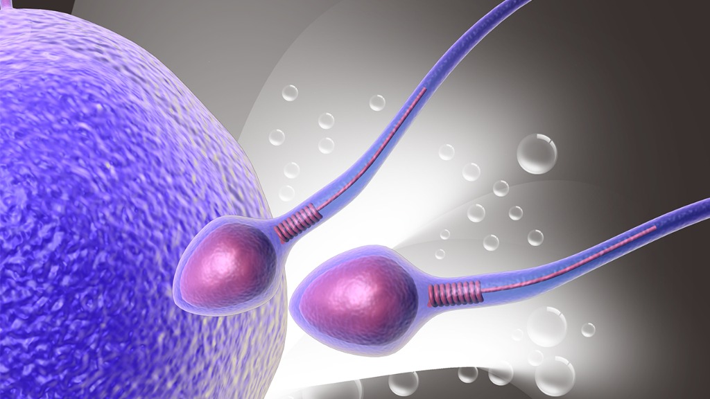 男人精子体外存活多长时间 警惕5中伤害精子的行为