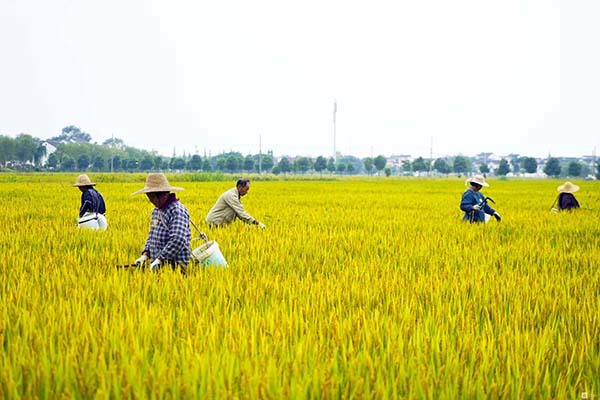 集体土地的房子能买吗 集体土地所有权属于谁 集体土地建设用地新规