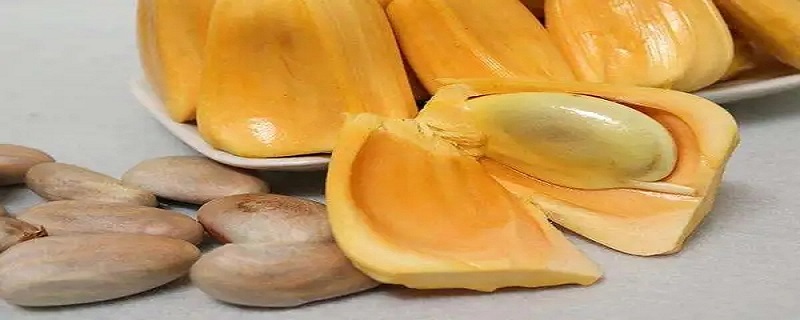 吃完菠萝蜜的籽怎么处理