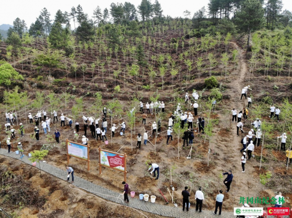 4.22世界地球日，大自然家居为地球充植活动在井冈山圆满举行