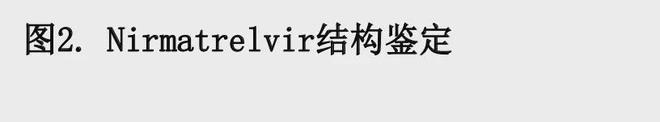 一盒卖2800元，华大基因CEO：印度新冠仿制药检出黑心假药！知情者：代工厂很贪婪，不在乎人命