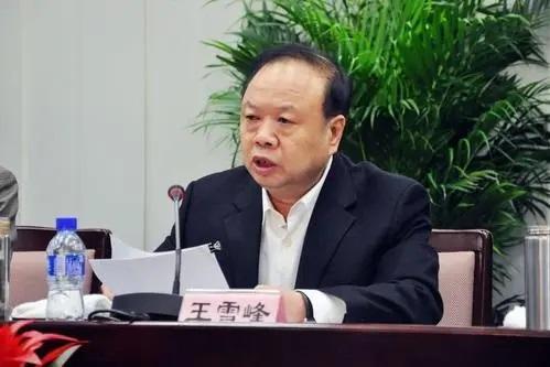 河北省人大常委会原副主任王雪峰接受中央纪委国家监委纪律审查和监察调查  