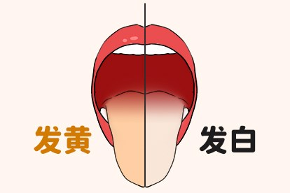舌苔厚白和厚黄的区别图片（舌苔厚白和厚黄的区别图片大全）