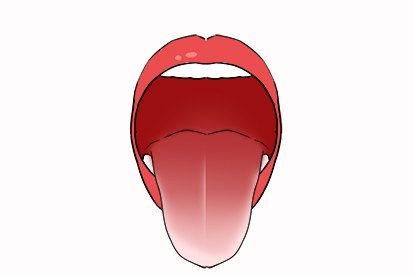 舌中线图片