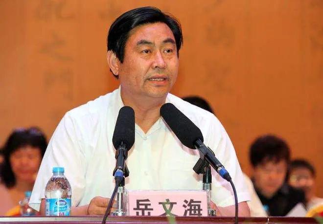 河南周口原“平坟市长”岳文海被查，已辞去公职10年
