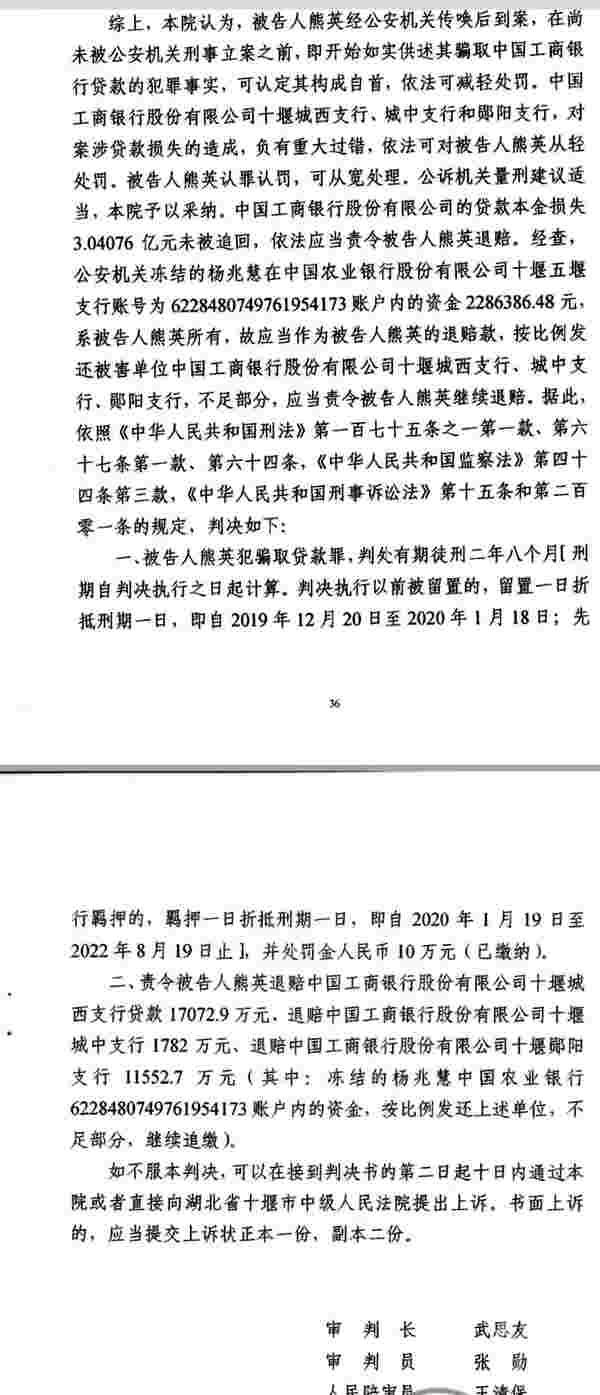 女子假材料骗贷31次致银行损失3亿余元，重审后获刑2年8个月