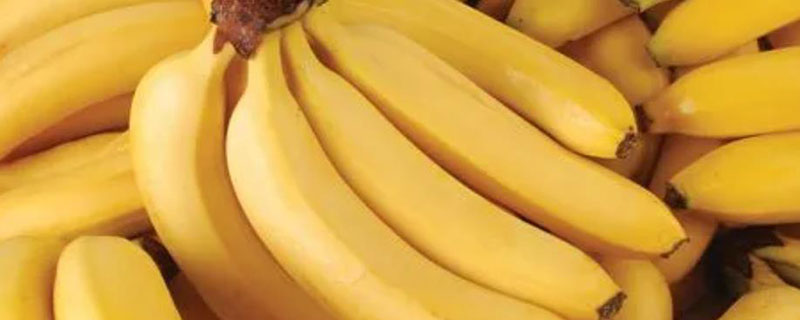 香蕉的成分