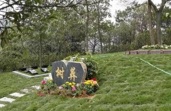 北京、天津、江苏等9省份惠民殡葬政策已覆盖到全体户籍居民