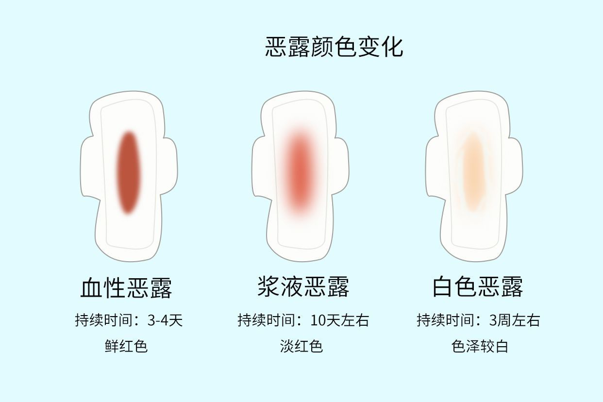 产后分泌物图片 产后分泌物是什么样的