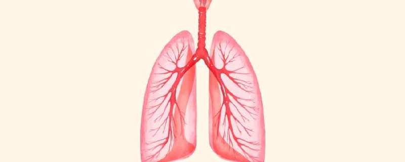 甲流怎么避免大白肺