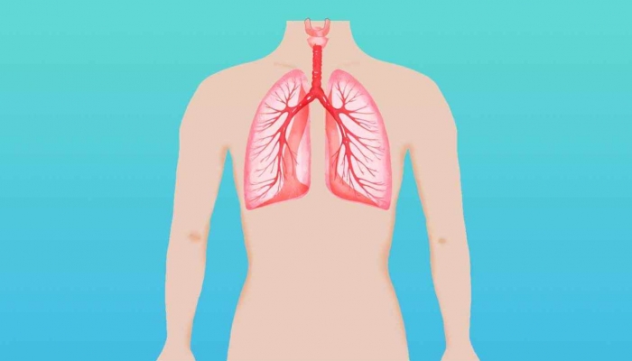 甲流引起白肺原因