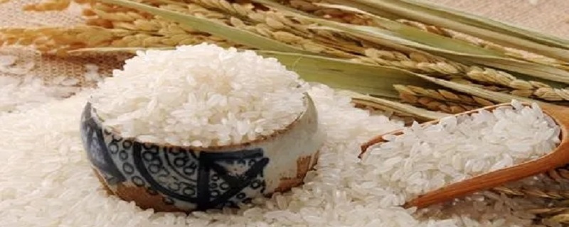 大米的保质期（大米的保质期过了能吃吗）